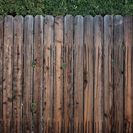 Wood Fence Wood Fence